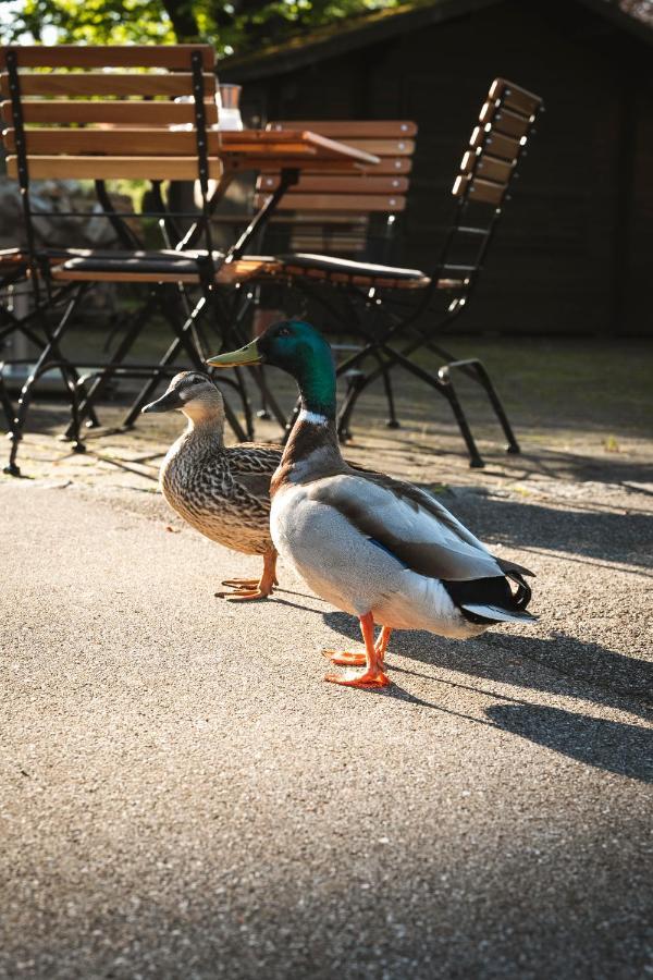 Sopherl Am - Fruehstueck Auf Der Seeterrasse, Sehr Ruhig Und Wunderschoen Am See, 3 Minuten Nach Oberpfaffenhofen, Viele Radtouren, Restaurants & Cafes In Der Umgebung Hotel 3*